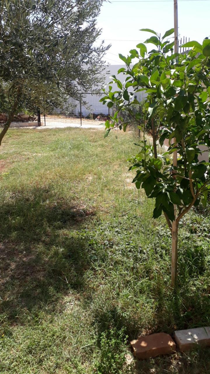Villa Cela คซามิล ภายนอก รูปภาพ
